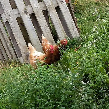 Nyaraló La Bougie Perlee 2 Saint-Crépin-et-Carlucet