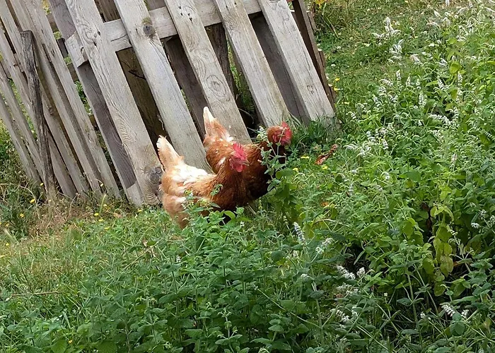 Дом отдыха La Bougie Perlee 2 Saint-Crepin-et-Carlucet